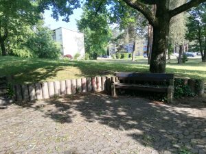 Die Bank, auf der Paula trank (Foto: Paula)