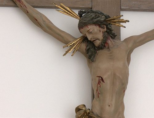 Sekten, Ausstieg und das Leben danach