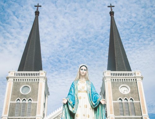 Glaubenswelten: Junge Menschen und katholische Kirche