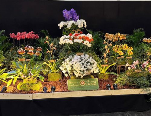 Ein Leben für die Königin der Blumen